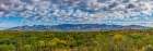 Arizona-Tucson-Saguaro National Park Art Print